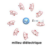 Figure 10 : L'effet de la polarisation. Le champ électrique E produit par une charge Q dans le vide (à gauche) décroît si on la place dans un milieu diélectrique (à droite). La charge Q polarise le milieu en orientant les dipôles, et le champ électrique de chaque dipôle réduit la valeur du champ initial E. L'effet est équivalent à une diminution de la charge Q, ce phénomène s'appelle écrantage (images ©3xPlus.com, site Voyage dans l’infiniment petit, ENS/ I. Pavel).