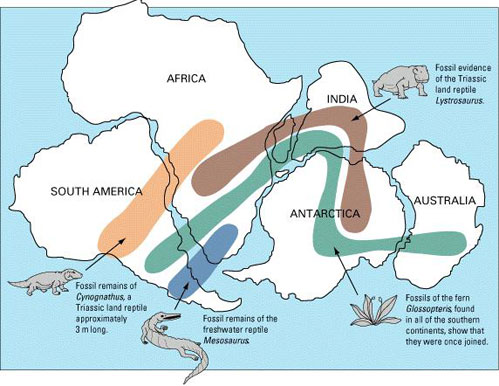 Figure 11 bis : Reconstitution moderne d’éléments fossiles communs à plusieurs continents (image United States Geological Survey).
