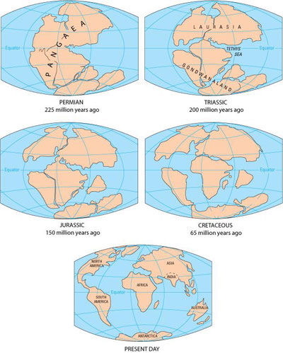 Figure 15 : Reconstitution contemporaine de la dérive des continents jusqu’à nos jours (source: This Dynamic Earth: The Story of Plate Tectonics. Reston, Virgina, USA: United States Geological Survey)
