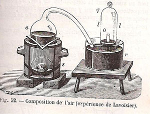 Figure 19 : Illustration de Troost, 1876.