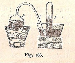 Figure 20 : Illustration de Naud, 1900.