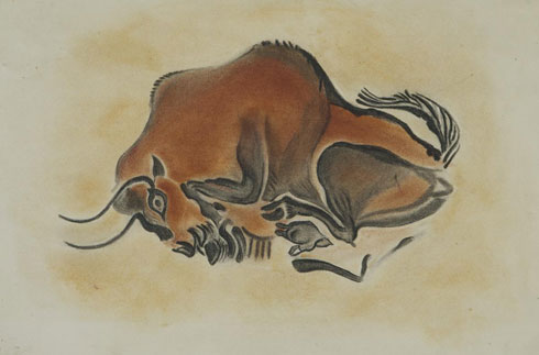 Figure 4 :  Bison rupestre d’Altamira relevé par Breuil (in Cartailhac & Breuil, La caverne d’Altamira à Santillane près Santander (Espagne), Monaco, 1906)